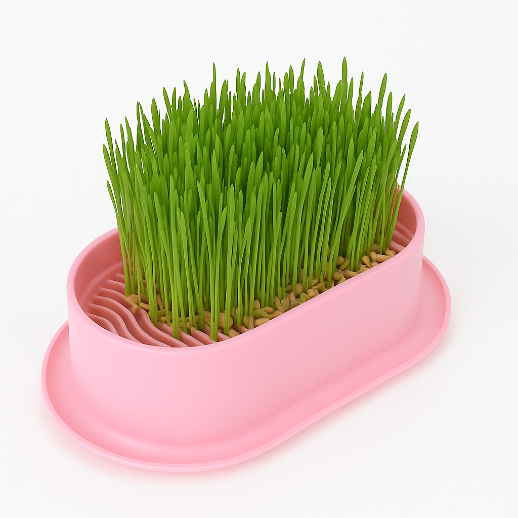 Cat Nip-Cat Grass
